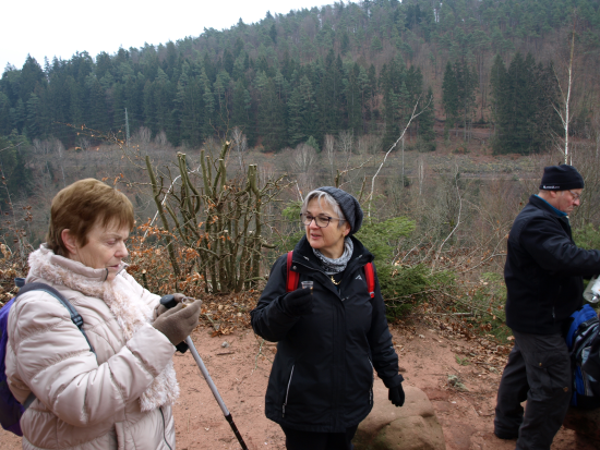 Teufelstischtour Januar 2019